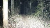 20251217_193026.jpg 20251217_193026.jpg