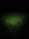 PSX_20251220_232130.jpg