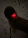 IMG_7491.jpeg