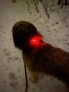 IMG_7489.jpeg