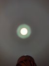 PXL_20260117_222504179.jpg PXL_20260117_222504179.jpg