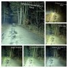 20260123_224306-COLLAGE.jpg