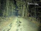 PXL_20260122_183529866~2.jpg