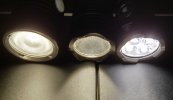 IMG_20260206_200410.jpg