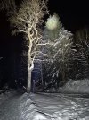 IMG-20260108-WA0008.jpg