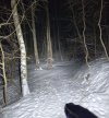 IMG_20260219_104127.jpg