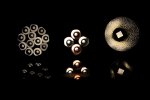 _DSC0035_web.jpg