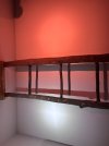 IMG_6208.jpeg