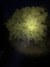 IMG_8809.jpeg