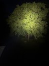 IMG_8810.jpeg