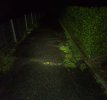 PSX_20260604_100142.jpg