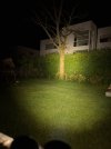 IMG_5531.jpeg