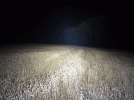 BLT50 Zoom 3.gif BLT50 Zoom 3.gif