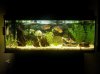 20131023_214200.jpg