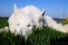 DSC_4219.jpg