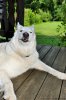 DSC_5217.jpg