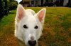 DSC_4699.jpg