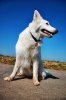 DSC_0477.jpg