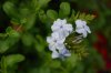DSC_0029_resize.jpg