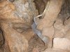 DSCN4903.jpg