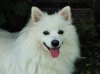 DSC03682-1.jpg