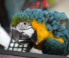 DSC_0048.jpg