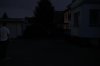 DSC_0096 - dark.jpg