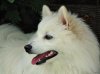 DSC03680-1.jpg