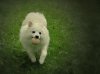 DSC03669-2.jpg