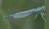 IMG_5355_2_forum.jpg