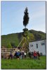 Maibaum2.jpg