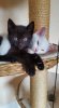 FB_IMG_1433909113967.jpg