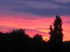 IMG_6531.jpg