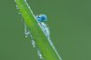 IMG_5360_forum.jpg