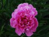 DSC_0159.JPG