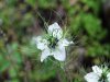 DSC_0162.JPG