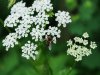 DSC_0166.JPG