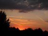 IMG_0742.jpg