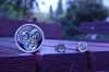 IMG_0443.jpg