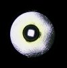 A6_BLF_Moonlight.jpg