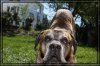 comp_Buddy Gina_1550.jpg