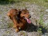 DSC00109.jpg