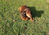 DSC00201_1.jpg