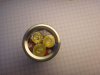 DSC01536.JPG