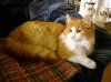 DSC_4013-2.jpg