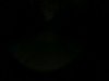 DSC01558.JPG