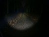 DSC01555.JPG