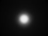 XM-L2.jpg