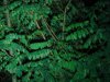 DSC02915.jpg