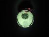 DSCN0466.JPG